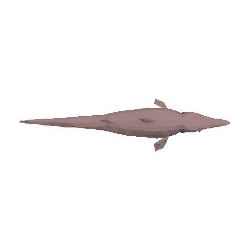 3D preview of Goblin Shark