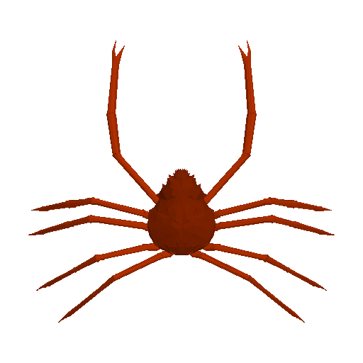 3D preview of Spider Crab