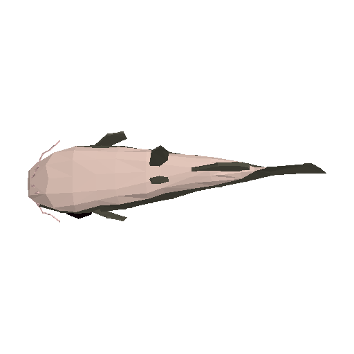 Catfish Drip model preview