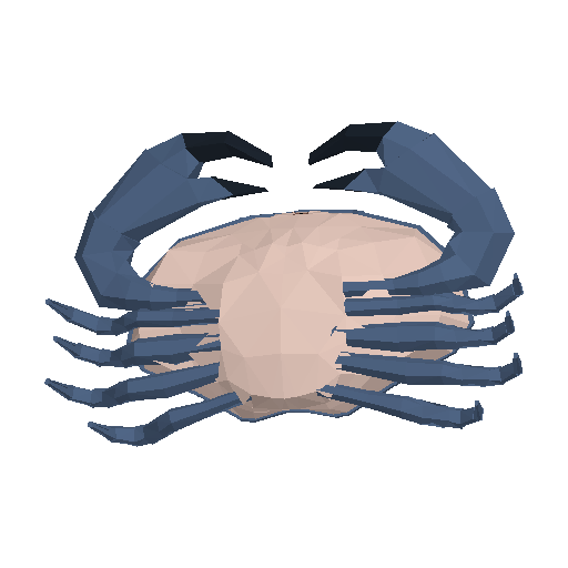 Rock Crab Drip model preview