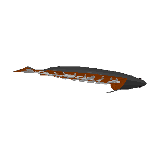 Salmon Drip model preview