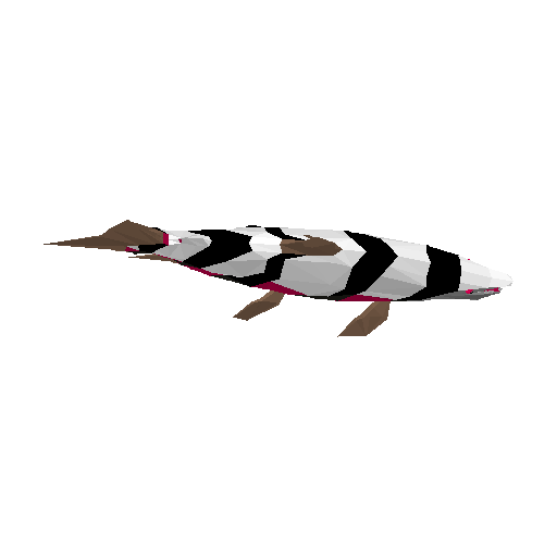 Tigerfish Drip model preview