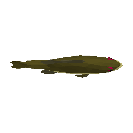 3D preview of Bass