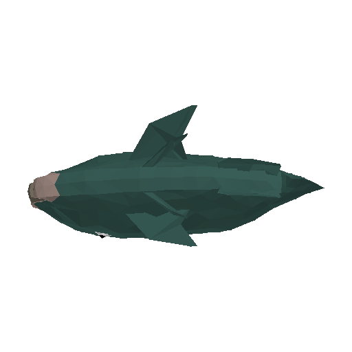 Parrotfish model preview
