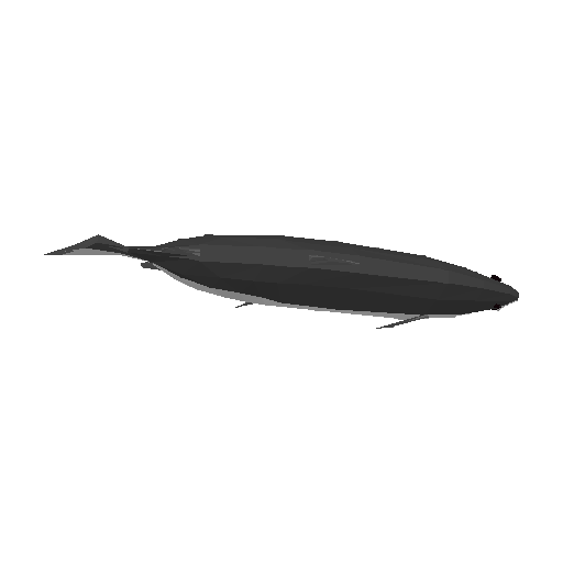 Salmon model preview