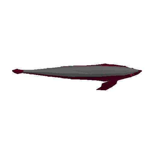 Sengarat model preview