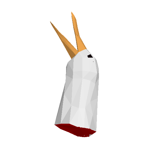 Albatross Head model preview
