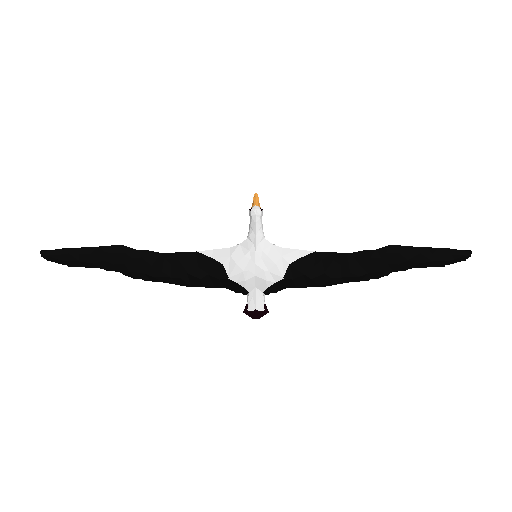 3D preview of Albatross