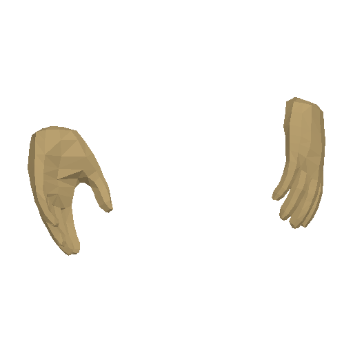 Hands model preview