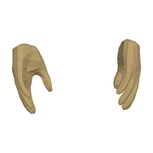 Hands model view 5