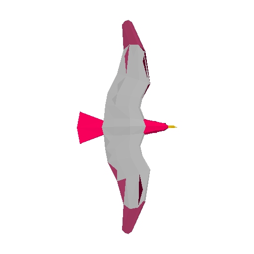 Seagull model preview