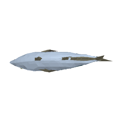 3D preview of Tuna